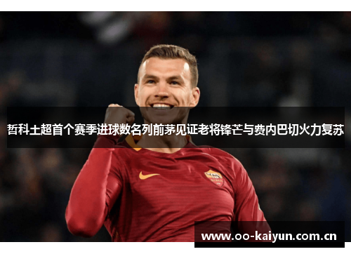 哲科土超首个赛季进球数名列前茅见证老将锋芒与费内巴切火力复苏